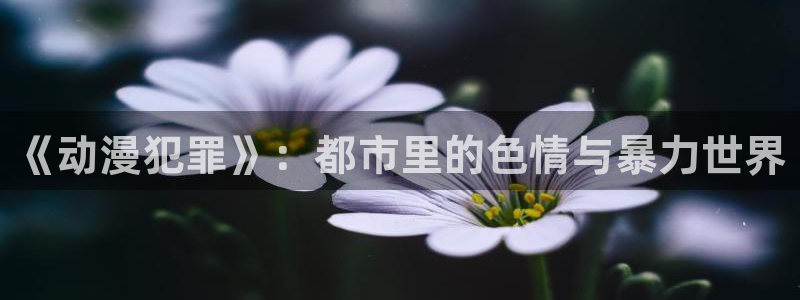 无职转生动漫岛