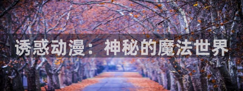 动漫岛下载免费版