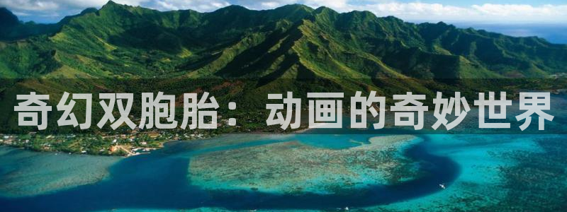 动漫岛18禁：奇幻双胞胎：动画的奇妙世界